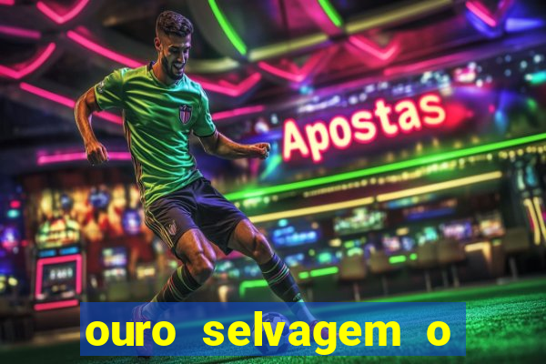 ouro selvagem o que aconteceu na vida